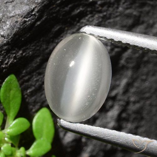 1.94 ct Oval Cat's Eye Moonstone, 9.1 x 6.7 mm From India, Photo A