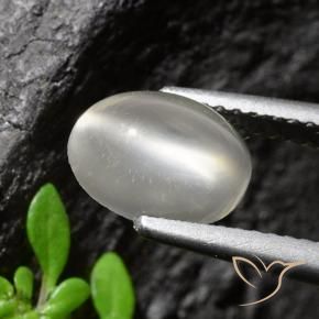 1.94 ct White Cat's Eye Moonstone Stone, Natural Cat's Eye Moonstone in Oval Cabochon Shape for Sale