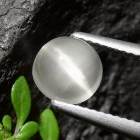 1.5ct Round Cabochon White Cat's Eye Moonstone for sale thumb image of 1.5ct Round Cabochon White Cat's Eye Moonstone (ID: 497416)