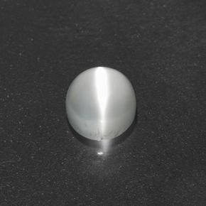 Warm White Cat's Eye Moonstone Gem - 0.8ct Round Cabochon (ID: 500116)