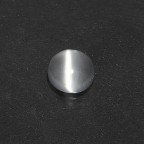 0.5ct Round Cabochon Smoky Multicolor Cat's Eye Moonstone Gem for sale 0.5ct Round Cabochon Smoky Multicolor Cat's Eye Moonstone Gem (ID: 500123)