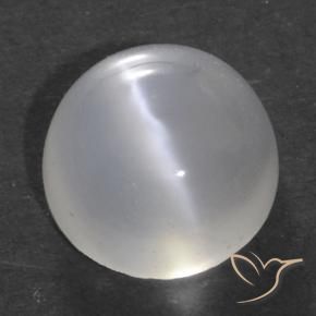 1.52 ct White Cat's Eye Moonstone Stone, Natural Cat's Eye Moonstone in Round Cabochon Shape for Sale
