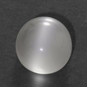 White Cat's Eye Moonstone Gem - 1.3ct Round Cabochon (ID: 500334)