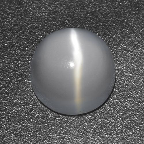 Oeil de chat de la Pierre de Lune Blanc Tour 1,02 ct de l'Inde, Dimension 6mm, Pierre gemme naturelle Non traité, pureté Transparent, 1 pièce Oeil de chat de la Pierre de Lune round cabochon, dureté de Mohs de 6 à 6.5, Photo A