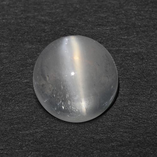 Clear White Mondstein Katzenauge Edelstein - 1.2ct Rund Cabochon (ID: 513049)