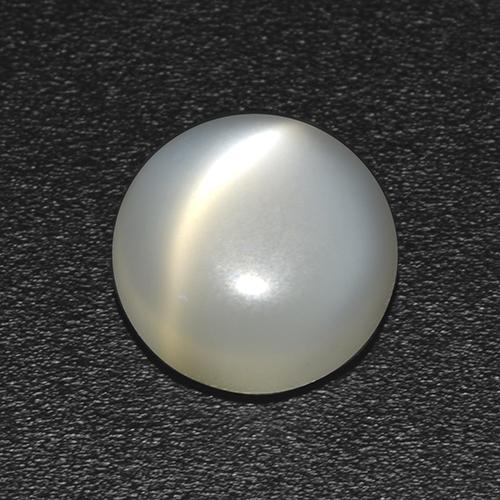Warmweiß Mondstein Katzenauge Edelstein - 1ct Rund Cabochon (ID: 513053)