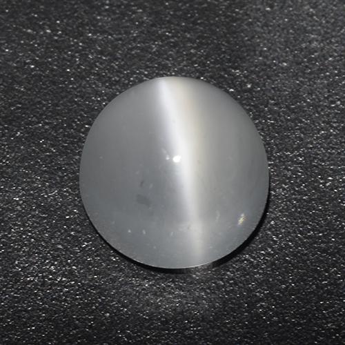 Weiß Mondstein Katzenauge Edelstein - 1.3ct Rund Cabochon (ID: 513059)