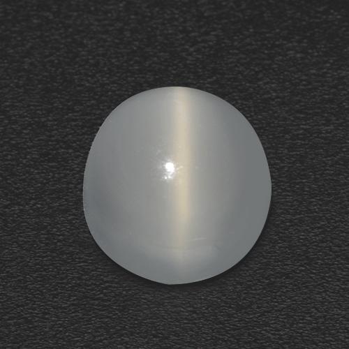 Warm White Cat's Eye Moonstone Gem - 1.2ct Round Cabochon (ID: 513061)