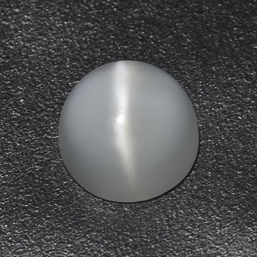 Bianco Pietra di Luna effetto occhio di gatto Gem - 1ct Cabochon rotondo (ID: 513062)
