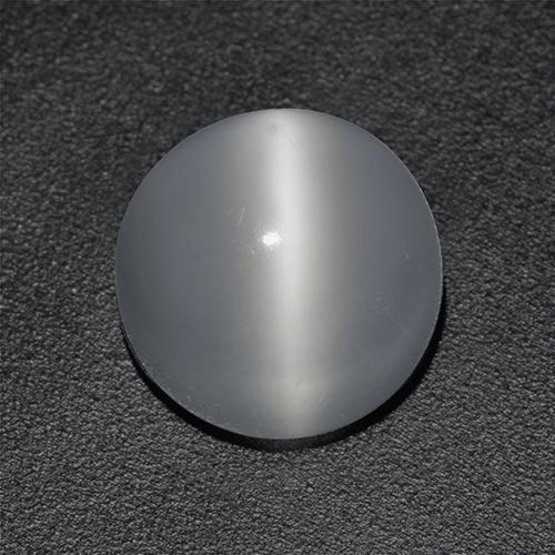 White Cat's Eye Moonstone Gem - 3.3ct Round Cabochon (ID: 513065)
