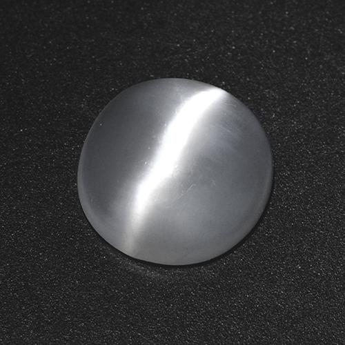 Weiß Mondstein Katzenauge Edelstein - 1.6ct Rund Cabochon (ID: 515889)