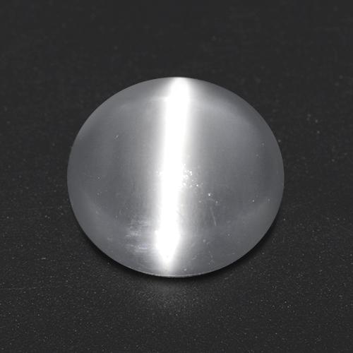 White Cat's Eye Moonstone Gem - 2.1ct Round Cabochon (ID: 515890)