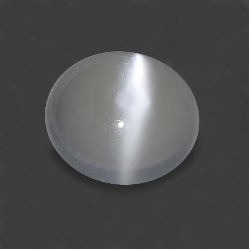 Blanco Piedra de Luna Ojo de Gato Gema - 1.5ct Cabujón Redondo (ID: 515892)