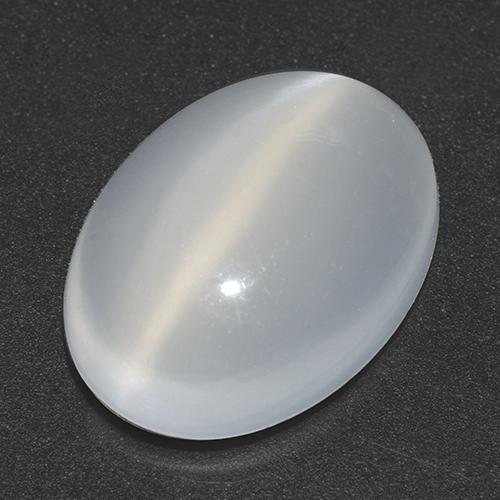 Clear White Cat's Eye Moonstone Gem - 4.9ct Oval Cabochon (ID: 516478)