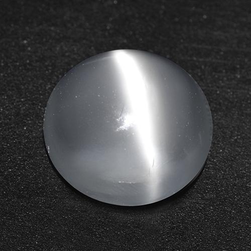 Blanco Piedra de Luna Ojo de Gato Gema - 2.3ct Cabujón Redondo (ID: 516688)