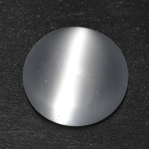Белый Лунный Камень Кошачий Глаз Камень - 2.3ct Круглый Кабошон (ID: 516690)