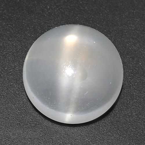 White Cat's Eye Moonstone Gem - 2.7ct Round Cabochon (ID: 517545)