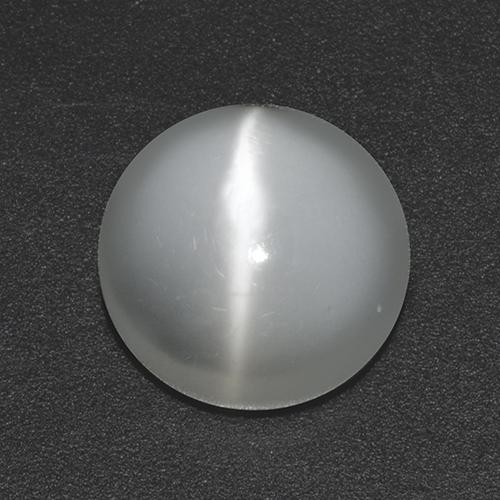 White Cat's Eye Moonstone Gem - 2.3ct Round Cabochon (ID: 517873)
