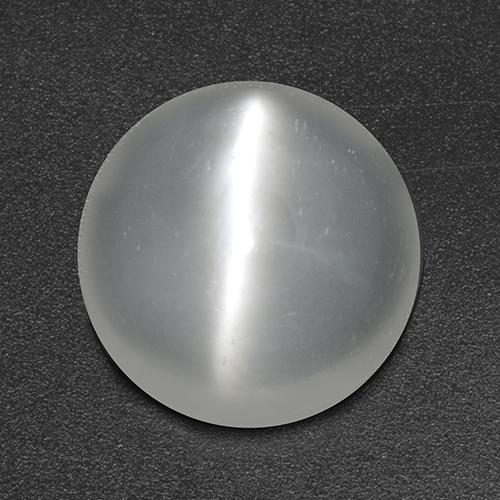 White Cat's Eye Moonstone Gem - 2.9ct Round Cabochon (ID: 517874)