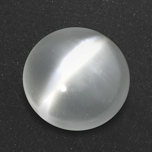 Weiß Mondstein Katzenauge Edelstein - 2.8ct Rund Cabochon (ID: 517875)