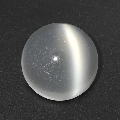 Weiß Mondstein Katzenauge Edelstein - 2.5ct Rund Cabochon (ID: 517878)