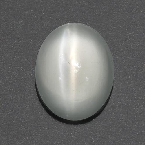 Warm White Cat's Eye Moonstone Gem - 2ct Oval Cabochon (ID: 519181)
