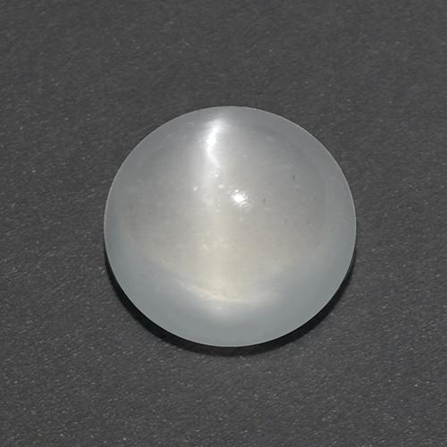 White Cat's Eye Moonstone Gem - 2ct Round Cabochon (ID: 519183)