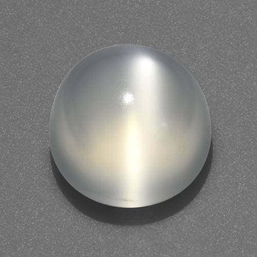 White Cat's Eye Moonstone Gem - 2.6ct Round Cabochon (ID: 519205)