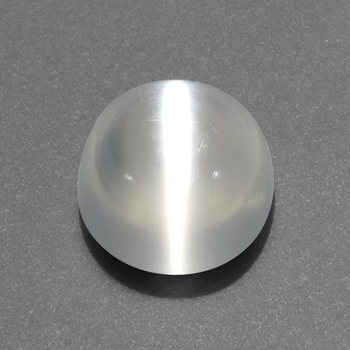 White Cat's Eye Moonstone Gem - 2.7ct Round Cabochon (ID: 519206)