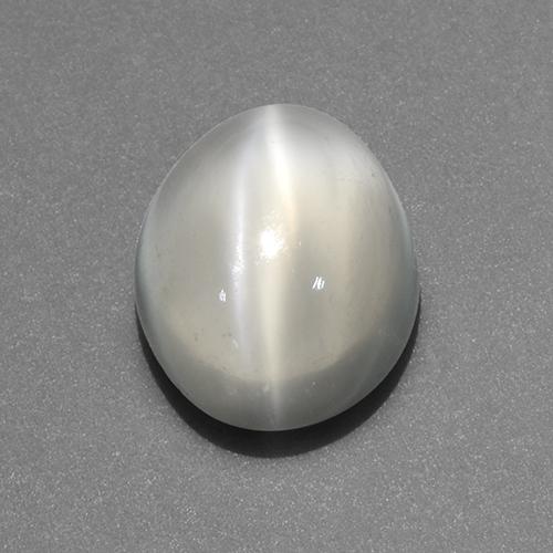 White Cat's Eye Moonstone Gem - 4.3ct Oval Cabochon (ID: 519207)
