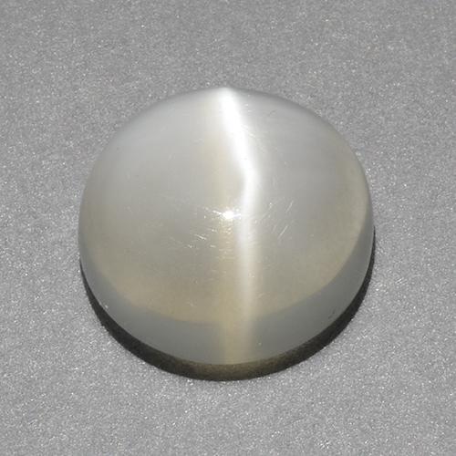 Warm White Cat's Eye Moonstone Gem - 3.4ct Round Cabochon (ID: 519210)