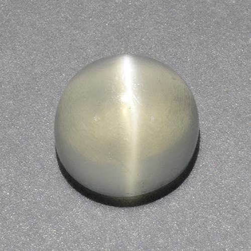 Warm White Cat's Eye Moonstone Gem - 2.4ct Round Cabochon (ID: 519211)