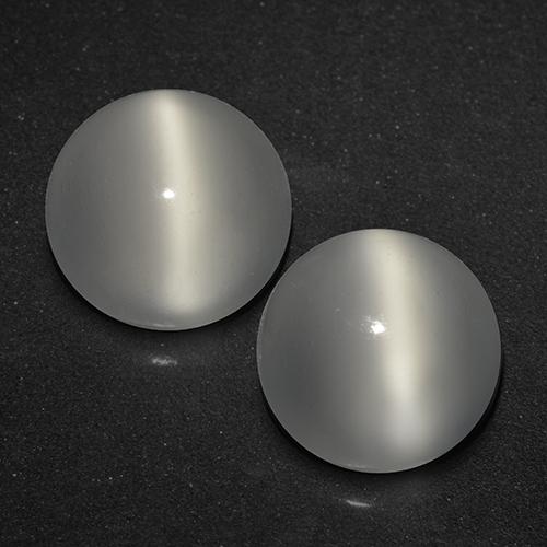 Warm White Cat's Eye Moonstone Gem - 1.6ct Round Cabochon (ID: 519630)