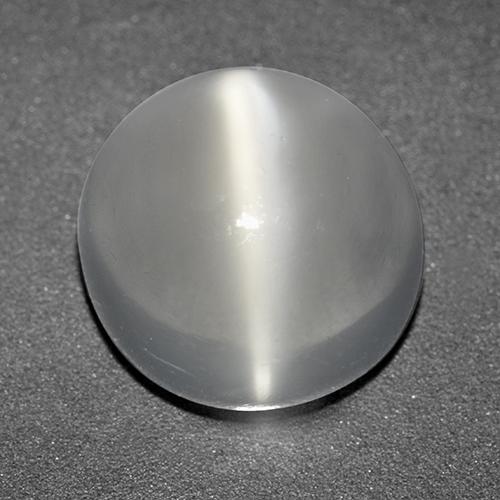 White Cat's Eye Moonstone Gem - 3.7ct Round Cabochon (ID: 519963)