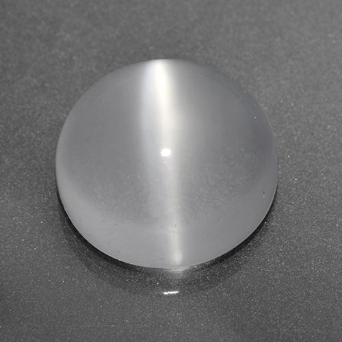 Blanco Piedra de Luna Ojo de Gato Gema - 3ct Cabujón Redondo (ID: 519966)