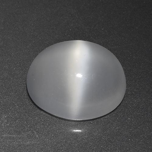 Белый Лунный Камень Кошачий Глаз Камень - 3.1ct Овал Кабошон (ID: 519967)