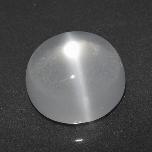 Белый Лунный Камень Кошачий Глаз Камень - 5.8ct Круглый Кабошон (ID: 519970)