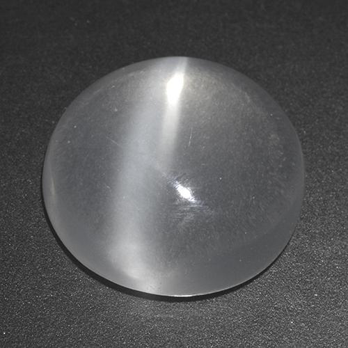 Bianco Pietra di Luna effetto occhio di gatto Gem - 6.2ct Cabochon rotondo (ID: 519974)