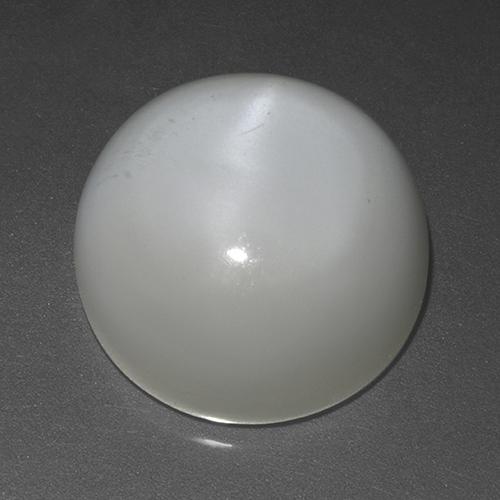 Blanco Piedra de Luna Ojo de Gato Gema - 17.5ct Cabujón Redondo (ID: 520127)