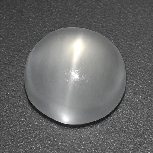 White Cat's Eye Moonstone Gem - 2.5ct Round Cabochon (ID: 520154)