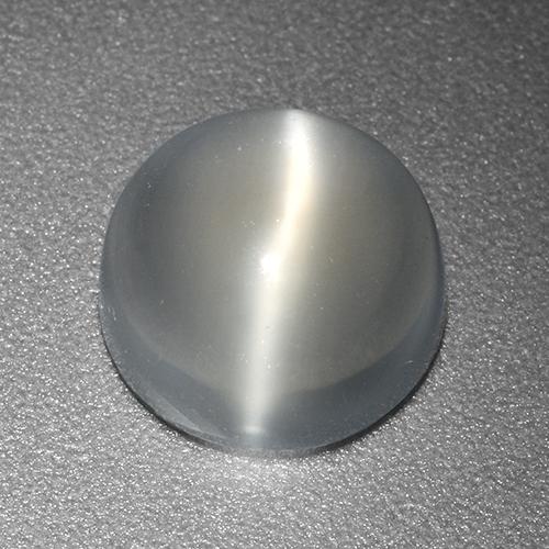 White Cat's Eye Moonstone Gem - 2.9ct Round Cabochon (ID: 520158)