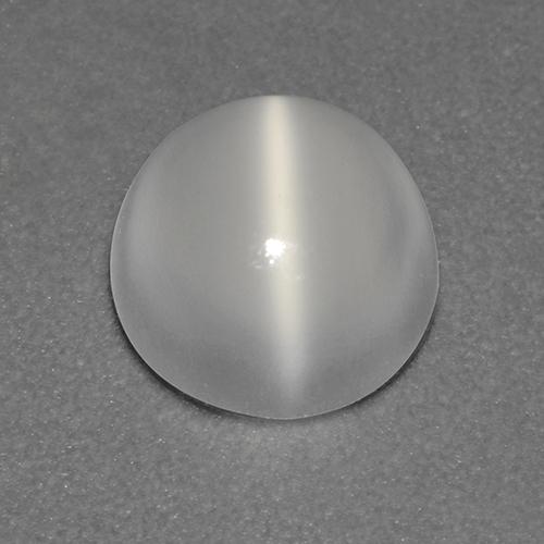 Oeil de chat de la Pierre de Lune Blanc Tour 7mm de l'Inde, poids de 1,37 ct, pierre gemme naturelle Non traité de pureté Transparent, 1 pièce Oeil de chat de la Pierre de Lune round cabochon, couleur : Blanc, dureté de Mohs de 6 à 6.5, Photo A