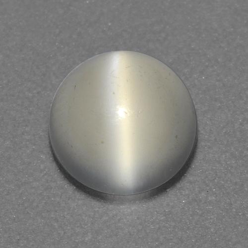 Warm White Cat's Eye Moonstone Gem - 1.4ct Round Cabochon (ID: 524037)