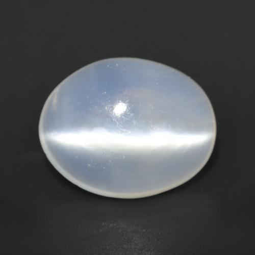 Translucent White Cat's Eye Moonstone Gem - 1.6ct Oval Cabochon (ID: 534945)