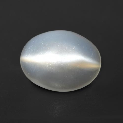 Translucent White Cat's Eye Moonstone Gem - 1.5ct Oval Cabochon (ID: 534948)
