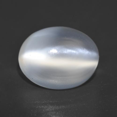 White Cat's Eye Moonstone 2.9ct Oval from India Gemstone