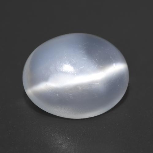 Translucent White Cat's Eye Moonstone Gem - 2.8ct Oval Cabochon (ID: 534955)