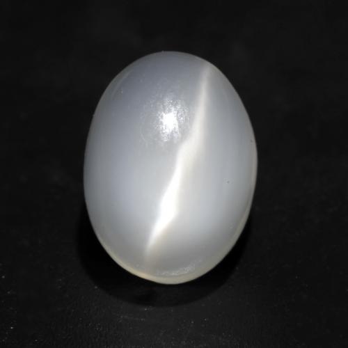 Translucent White Mondstein Katzenauge Edelstein - 1.6ct Oval Cabochon (ID: 535343)