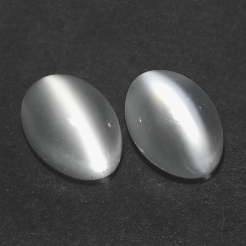 White Cat\'s Eye Moonstone 1ct (2 pcs) Oval from India Gemstones