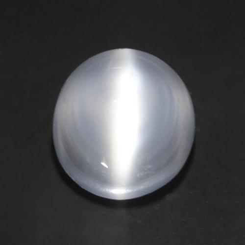 Blanco translúcido Piedra de Luna Ojo de Gato Gema - 1.8ct Cabujón Redondo (ID: 545595)